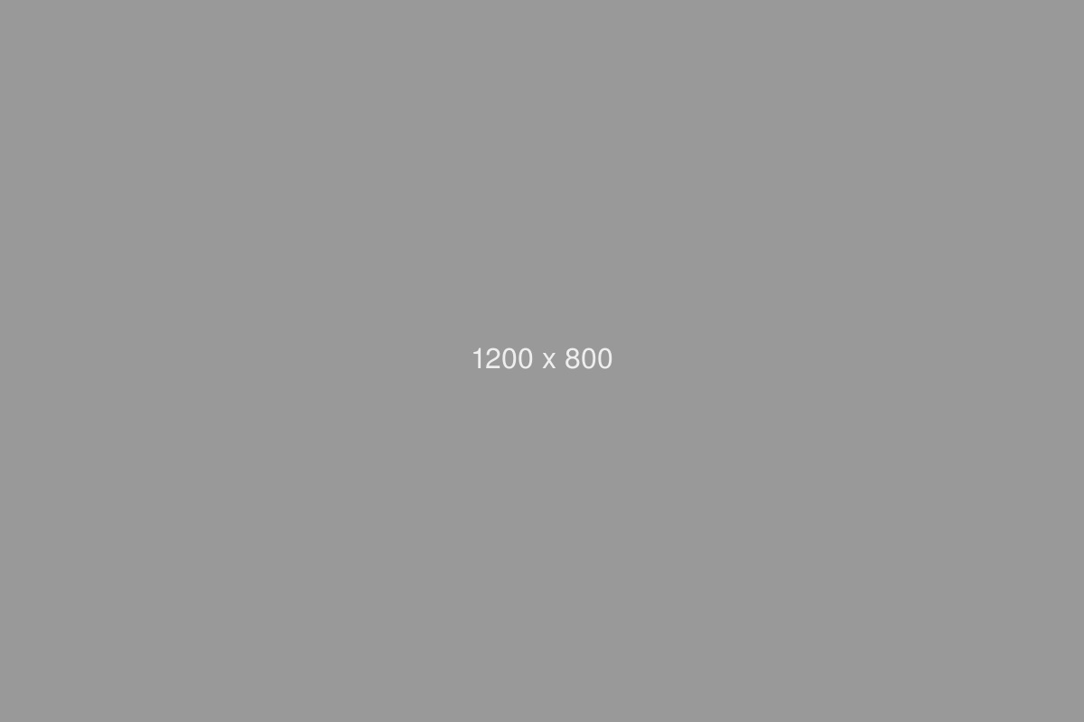 Education WordPress theme - Fields